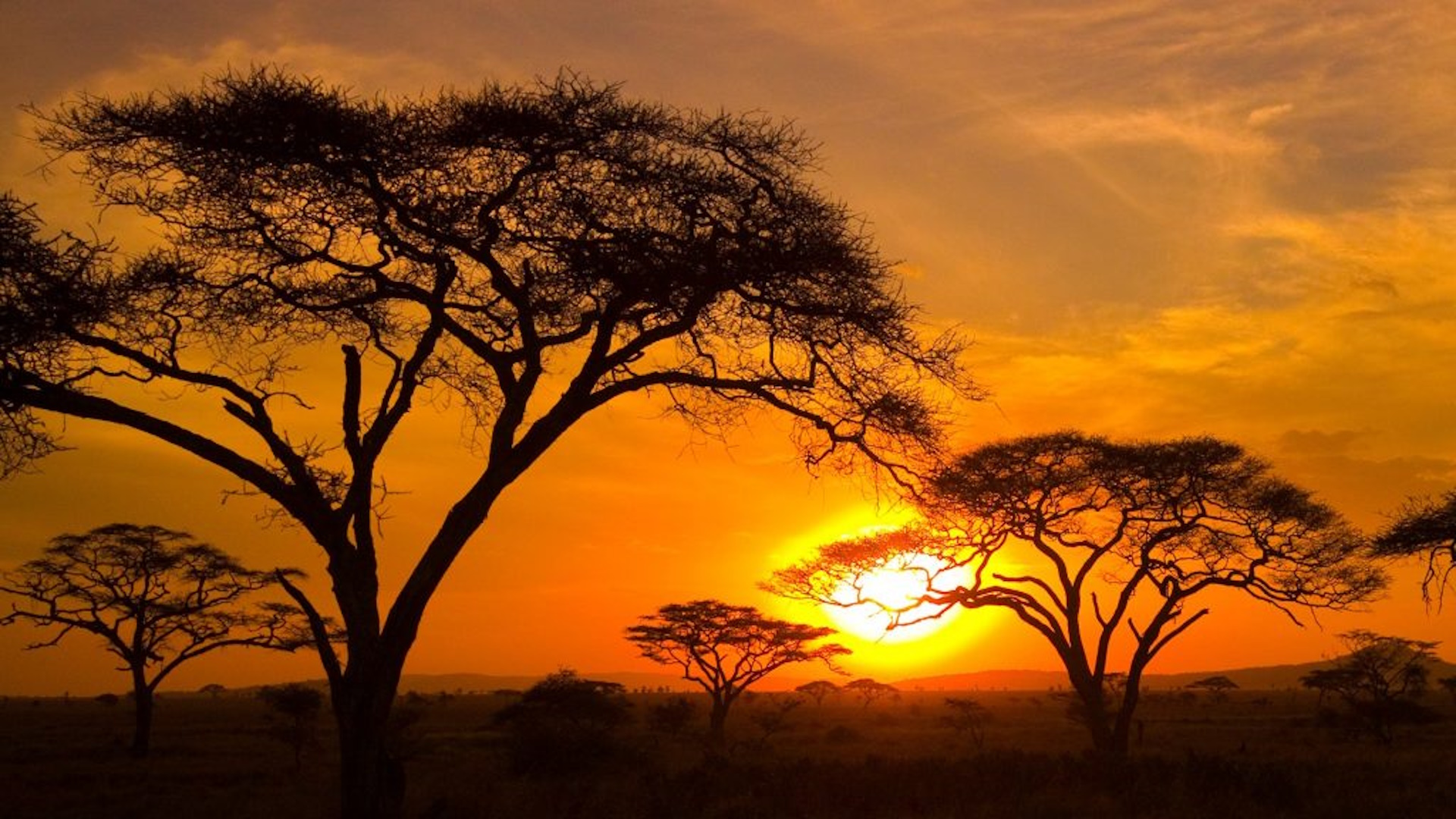 The Serengeti, Tanzania beautiful places